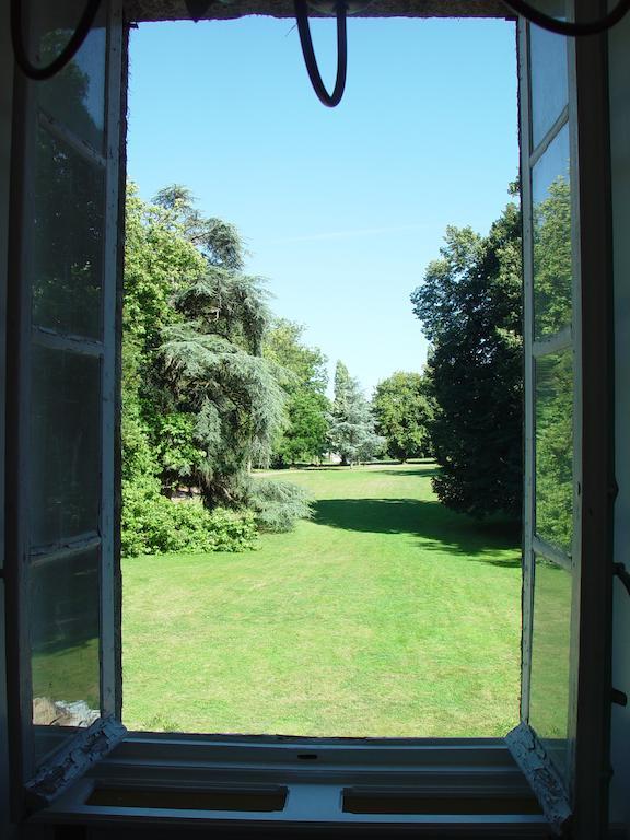Chateau De La Marronniere Aizenay Екстер'єр фото